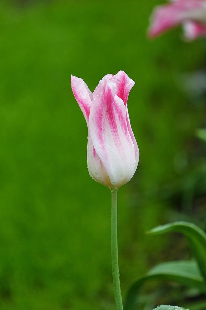 Фотография автора Jian Ma