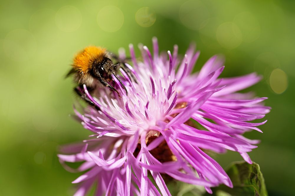 Photograph by Наталья Матюхина