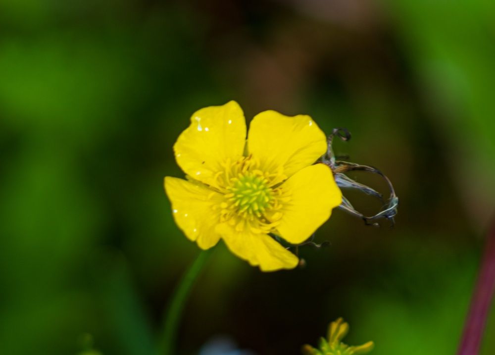 Photograph by Альберт Габбасов