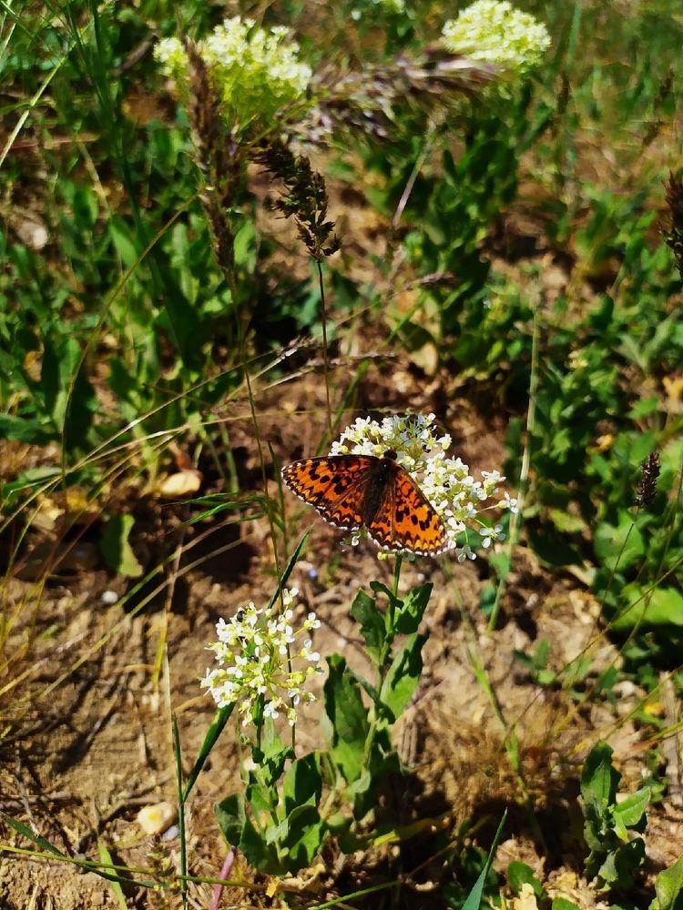 Photograph by Анастасия Никитюк