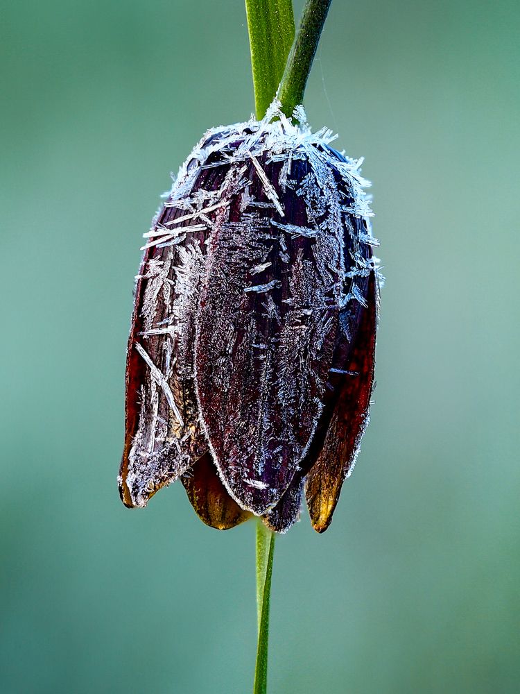 Photograph by Сергей Конюшенко