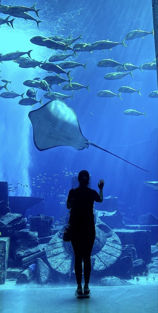 Photograph by Olessya Kim