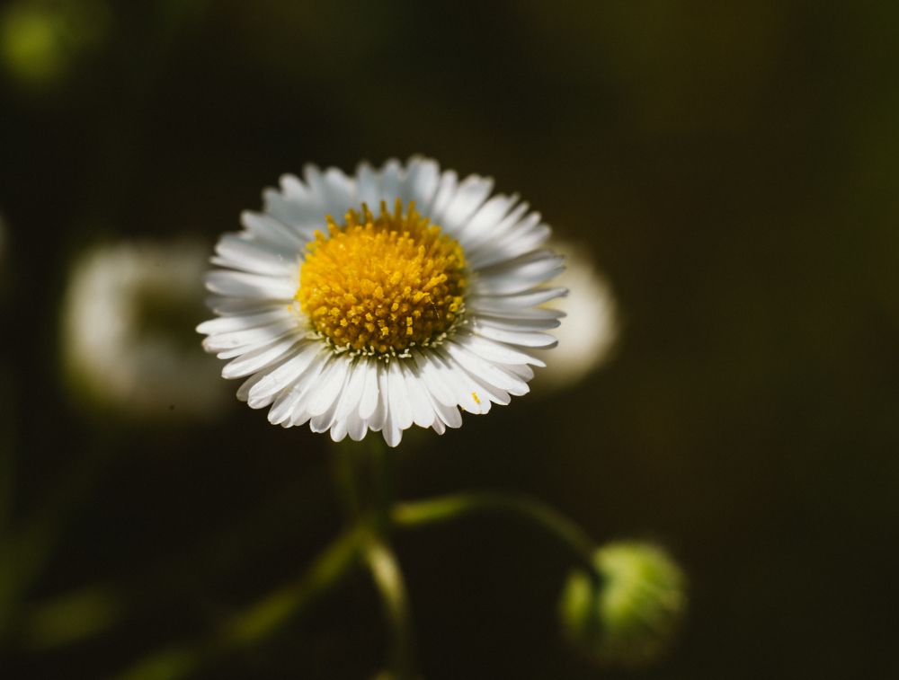 Photograph by Мария Грин (Сычёва)