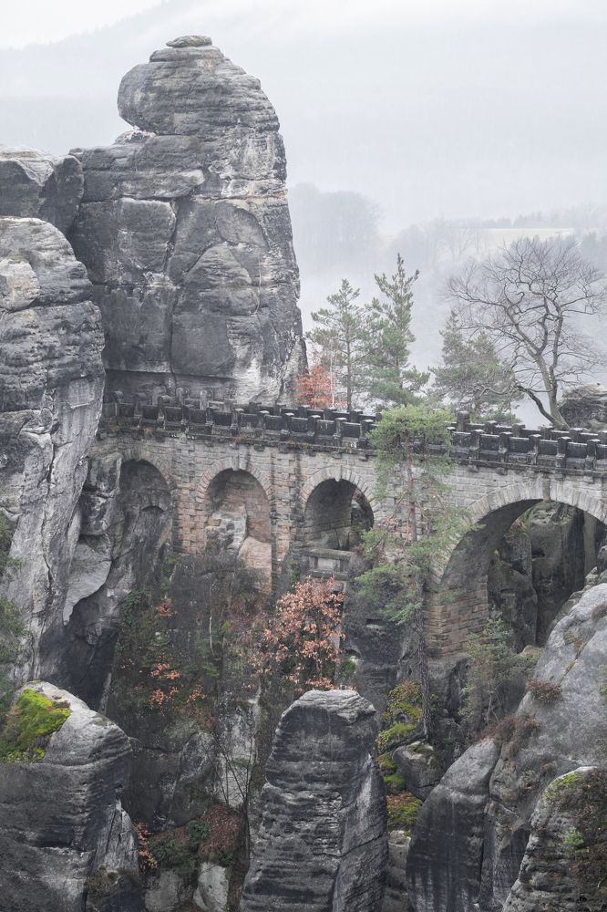 Photograph by Semeniuc Anna