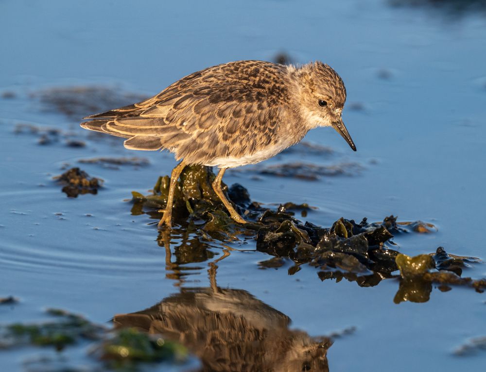 Photograph by Савчук Сергей