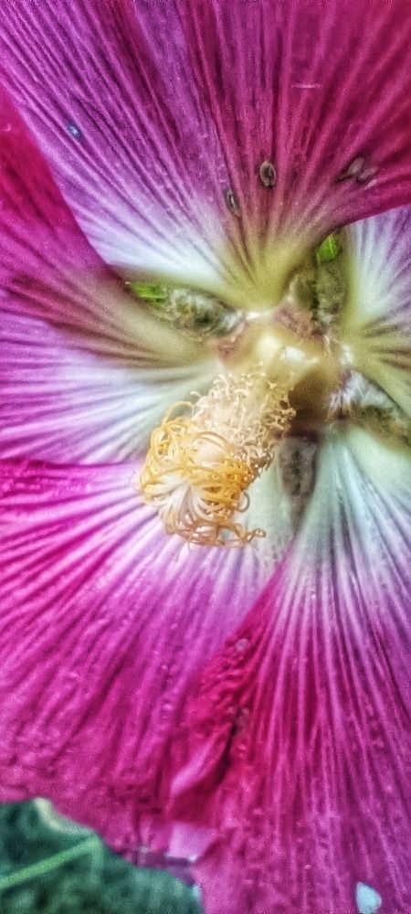 Photograph by Валентин Волк