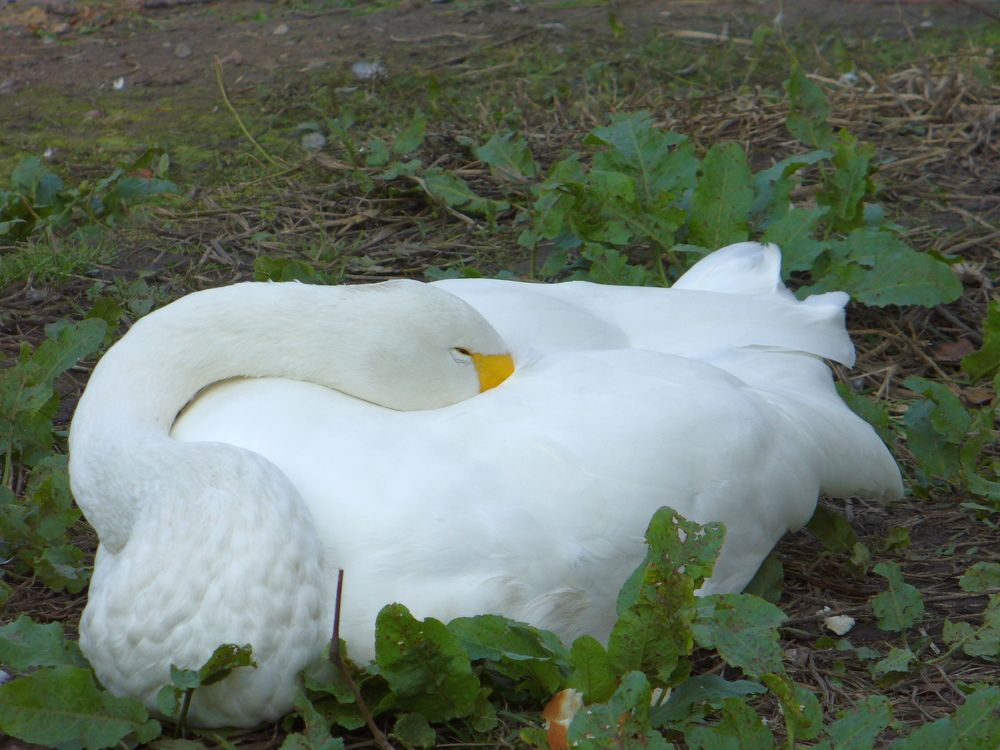 Photograph by Владимир Себякин