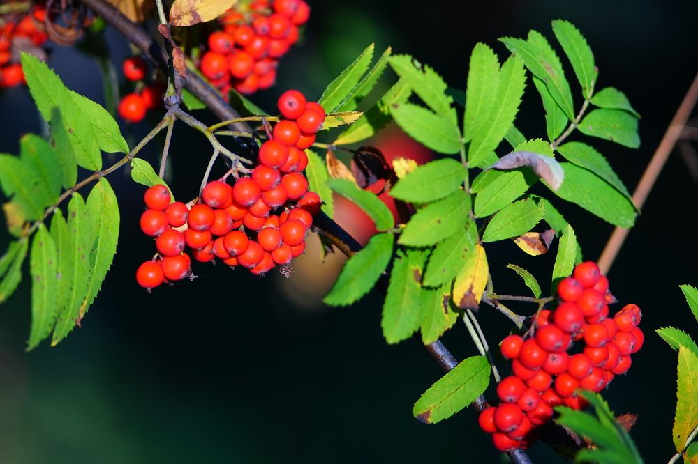 Photograph by Александр Кизим