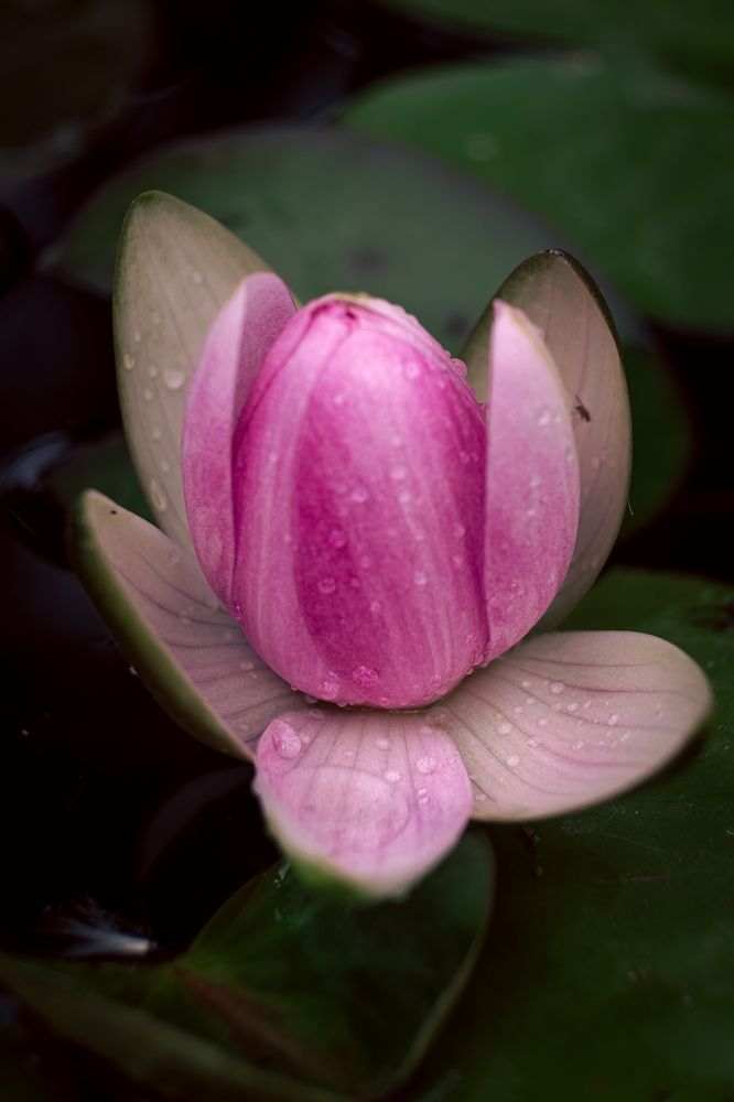 Photograph by Евгения Путинцева