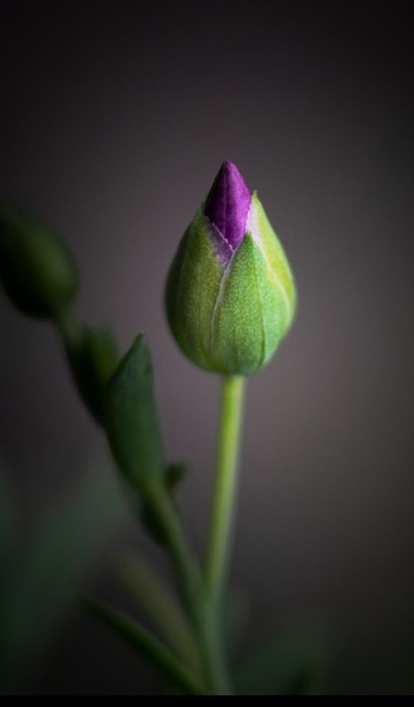 Photograph by Кристина Сысоева