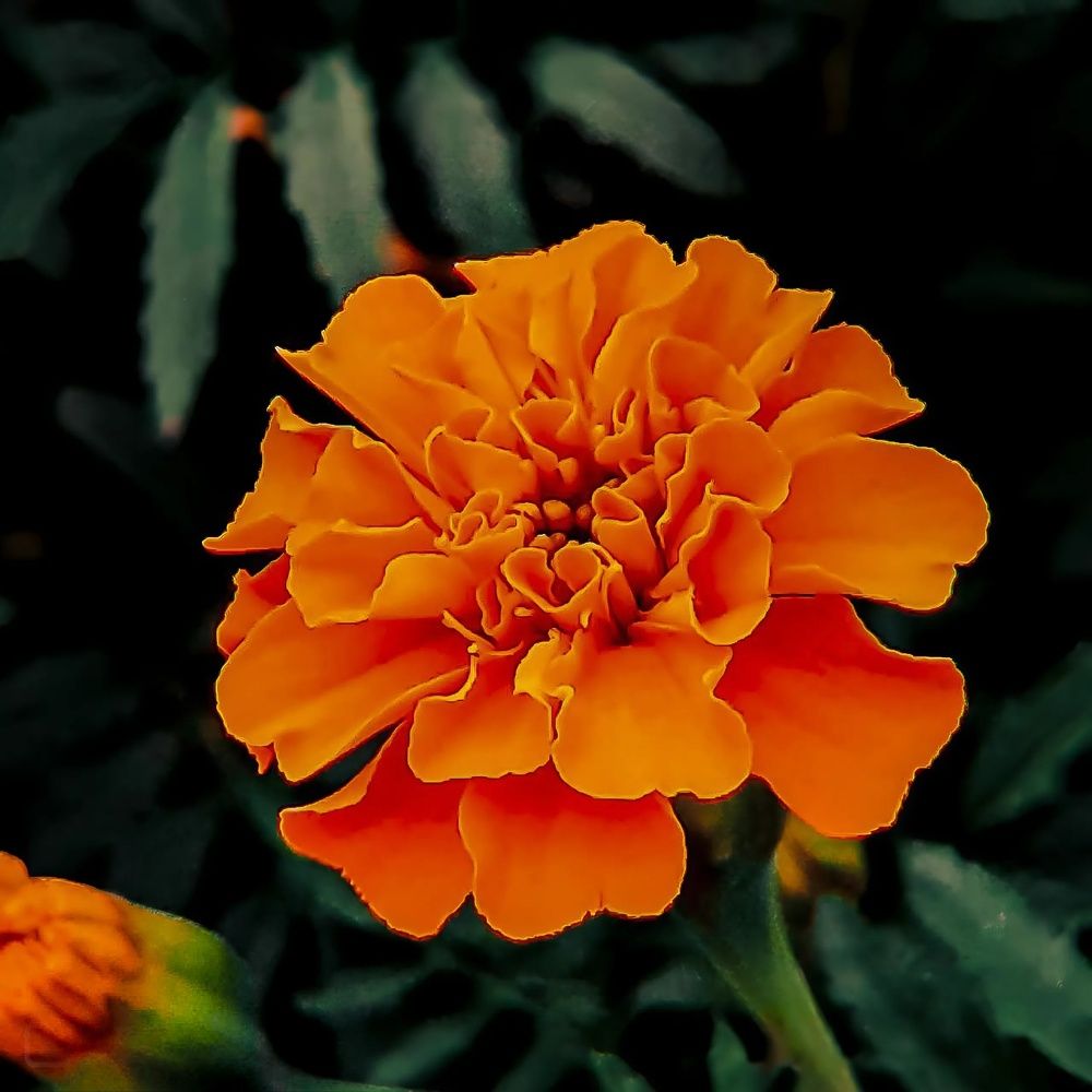 Photograph by Кристина Сысоева