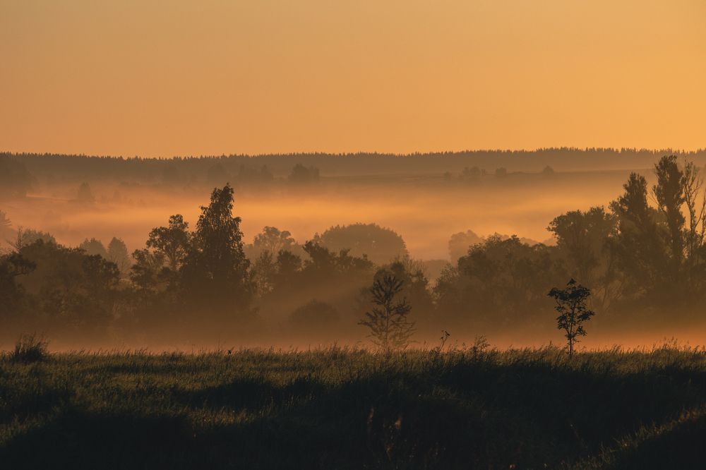 Photograph by Татьяна Штунь