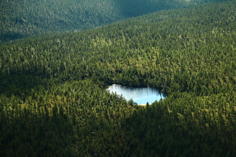 Photograph by Лада Денисова