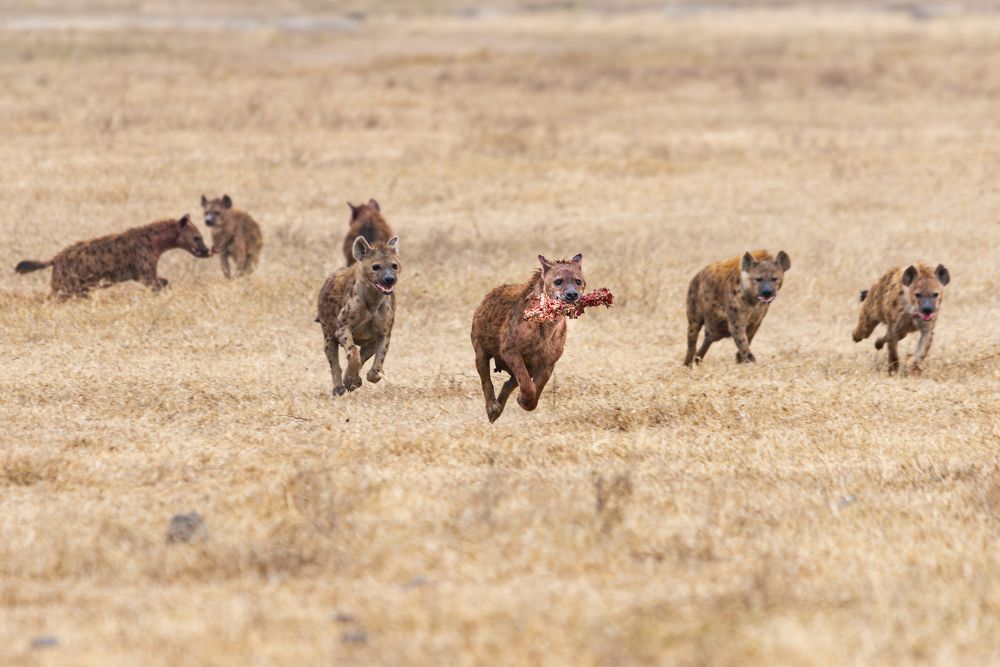 Photograph by Jorge Ivan Vasquez