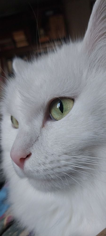 Photograph by Ирина