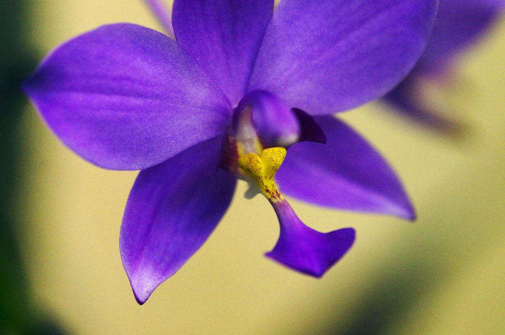 Photograph by Julio Felipe Santo Tomas