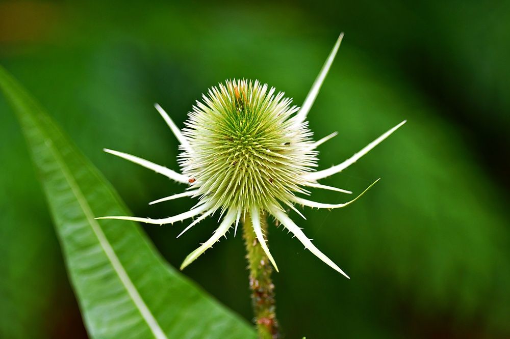 Фотография автора Neil Martin