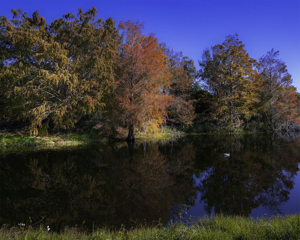 Фотография автора Ray Asiala