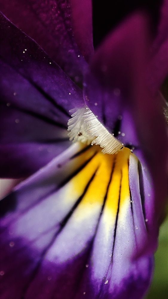 Photograph by Ирина Строкова