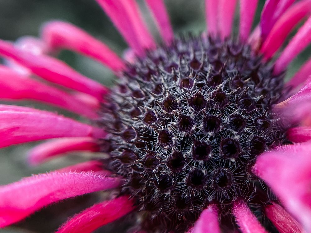 Photograph by Ольга Осинина