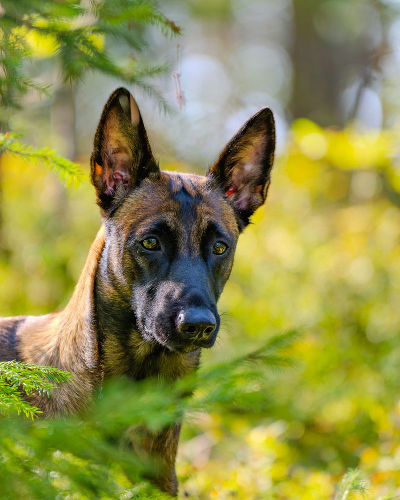 Photograph by Сергей Жиркевич