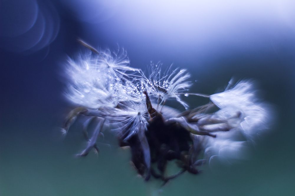 Photograph by Ольга Сергеенко