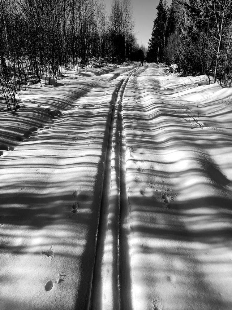 Photograph by Алёна Пшеленская