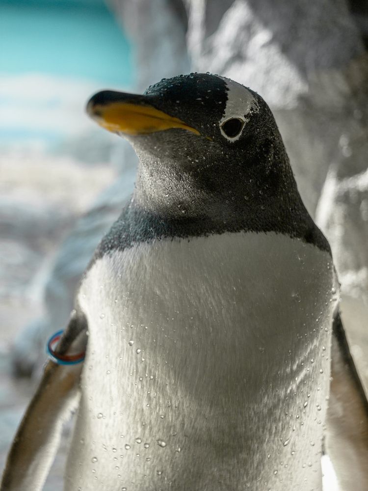 Photograph by Юлия Казакова