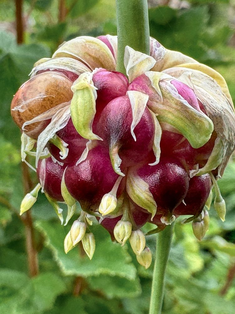 Photograph by Ольга Потачева