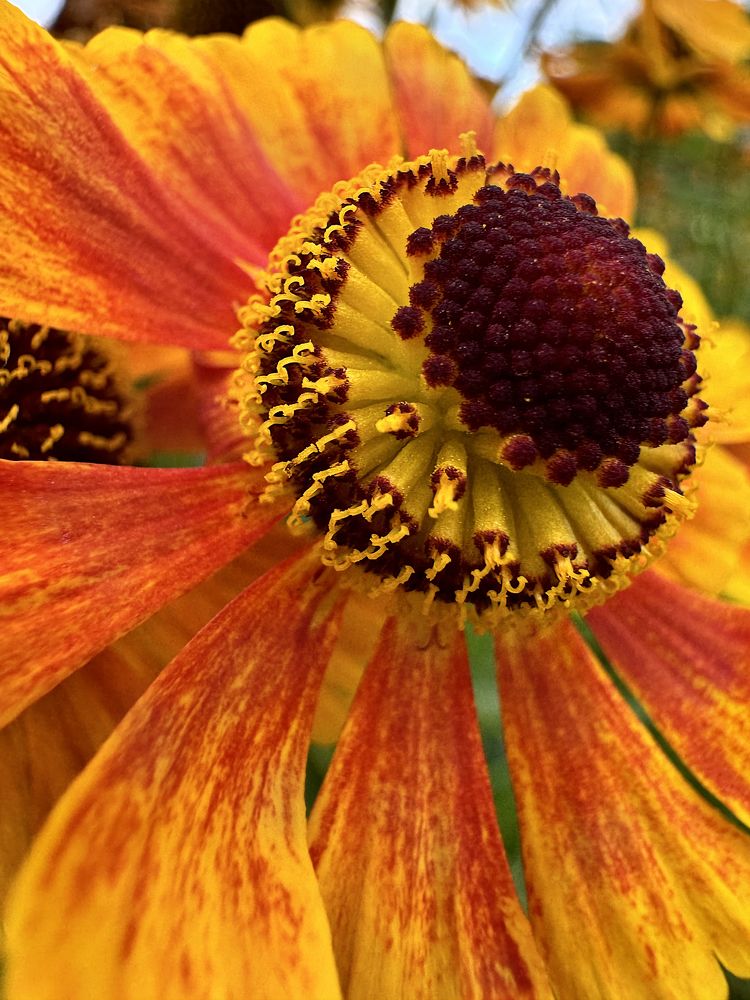 Photograph by Ольга Потачева