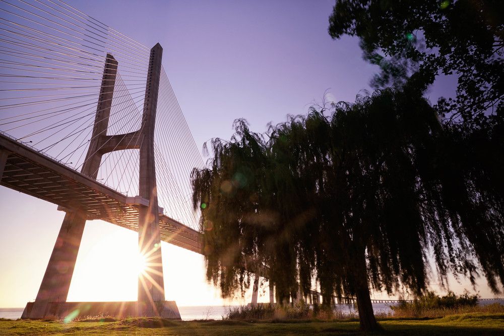 Photograph by Mário C.