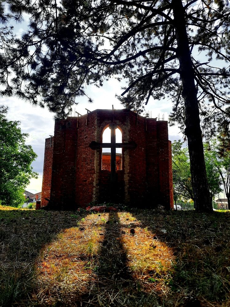 Фотография автора JELENA VASIC