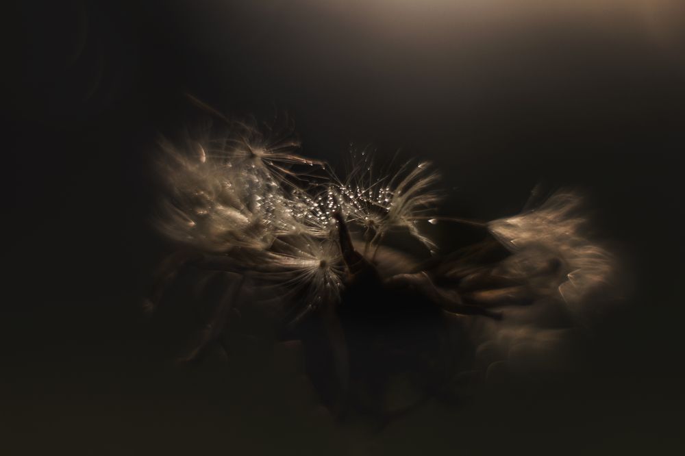 Photograph by Ольга Сергеенко