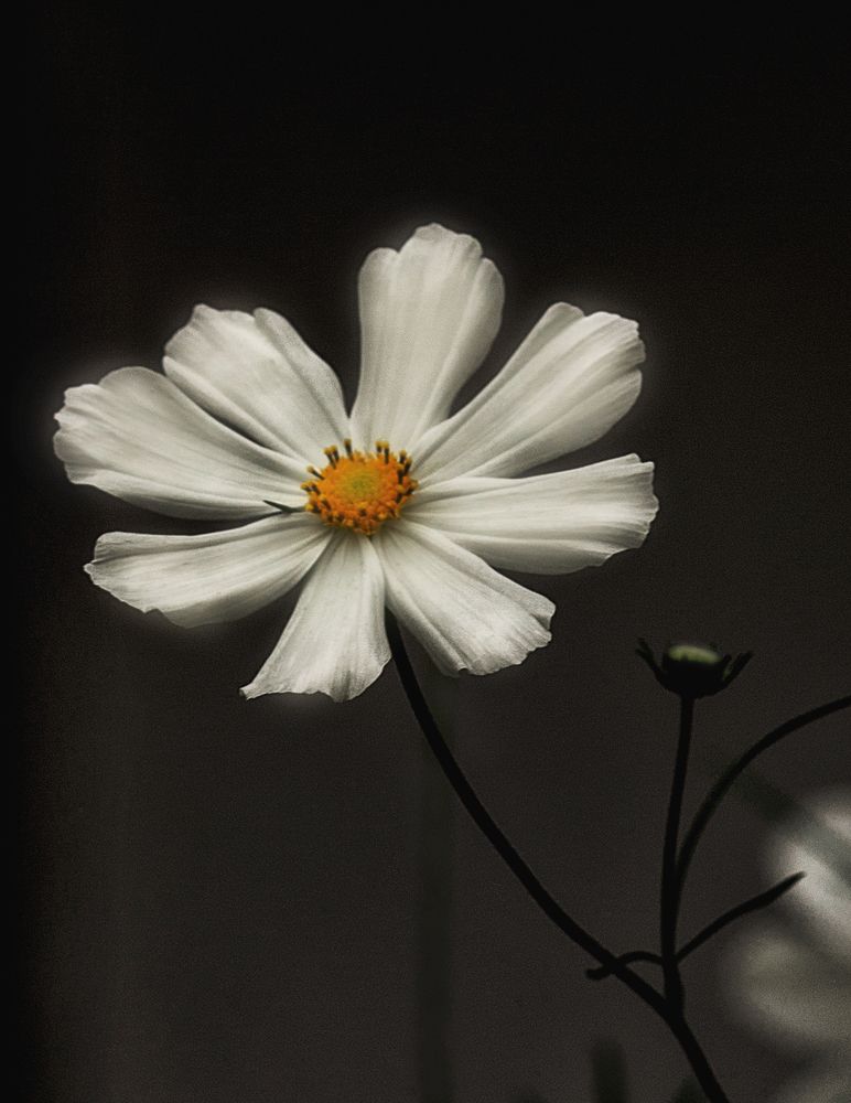 Photograph by Ольга Софронова