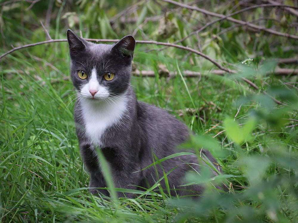 Photograph by Татьяна Елькина