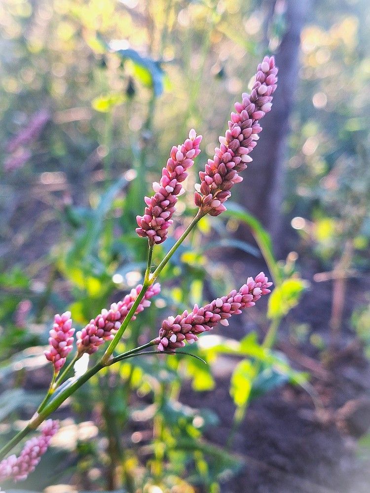 Photograph by Наталия Игоревна