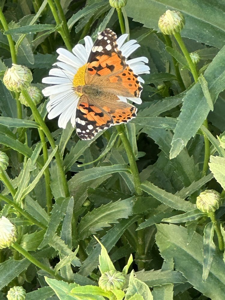 Photograph by Наталья Берон