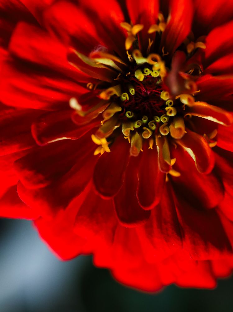 Photograph by Гульнара Зиангирова