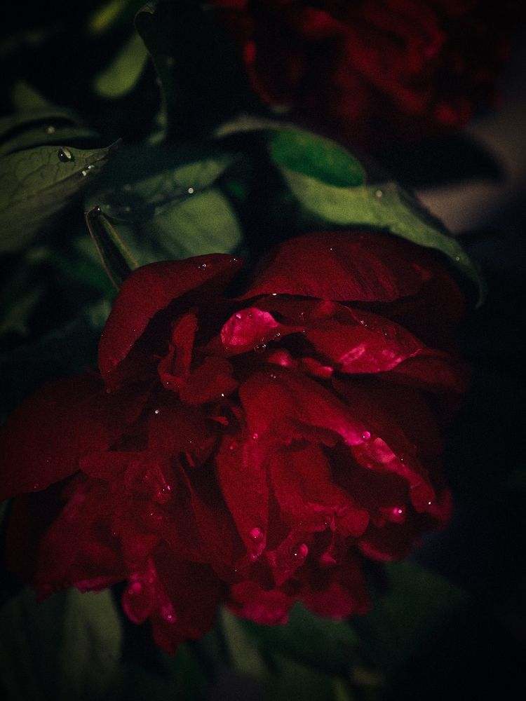 Photograph by Гульнара Зиангирова