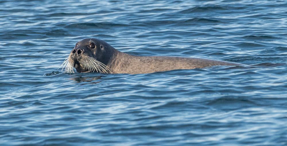Photograph by Савчук Сергей