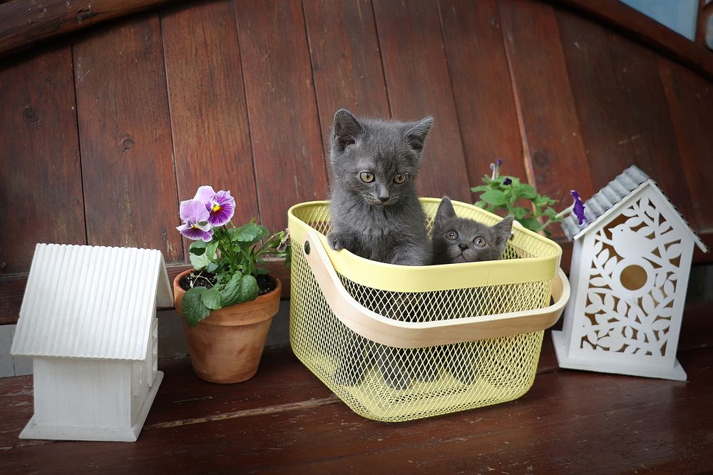 Photograph by Татьяна Елькина