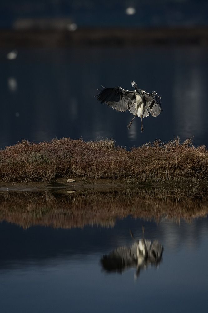 Photograph by Anton Gerasimov