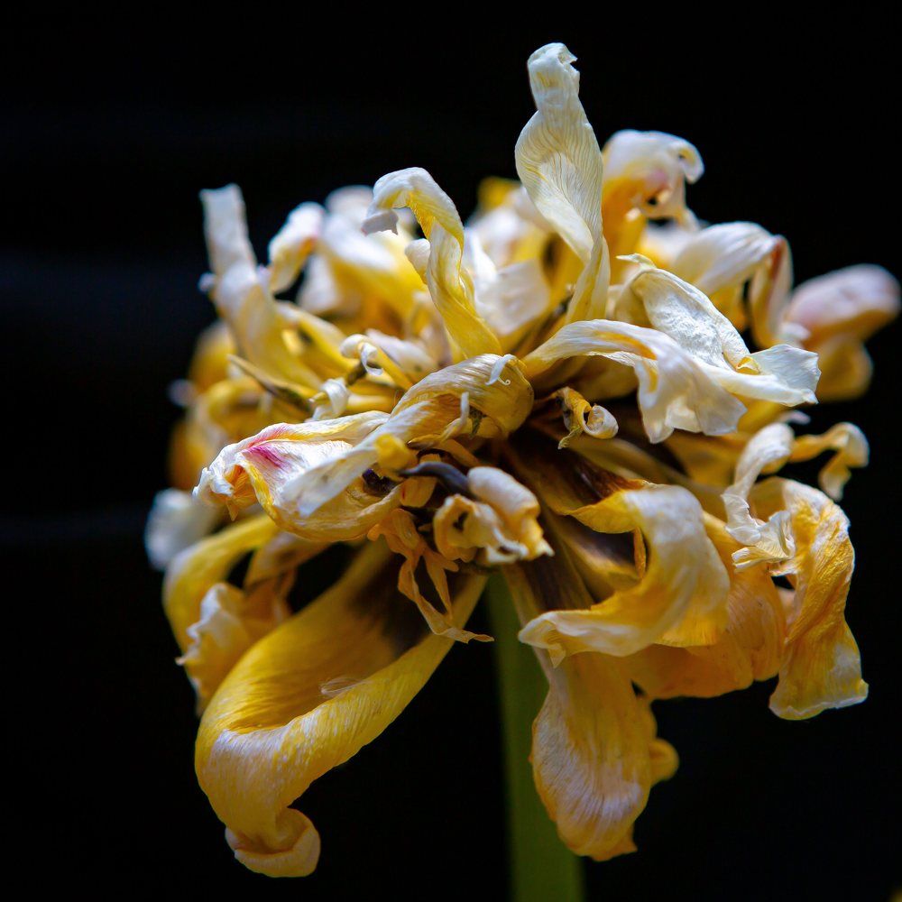 Photograph by Очева Наталья Александровна