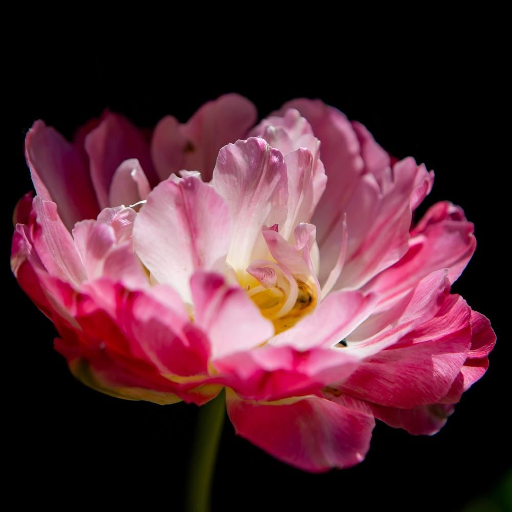 Photograph by Очева Наталья Александровна