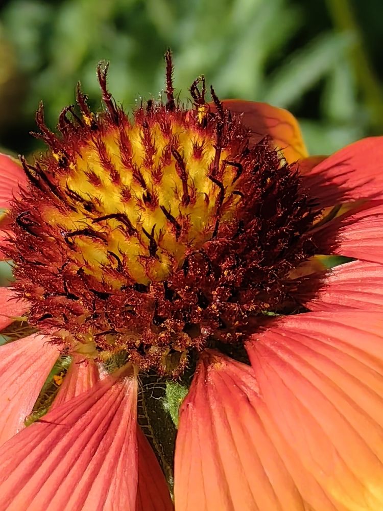 Photograph by Римма Бобрякова