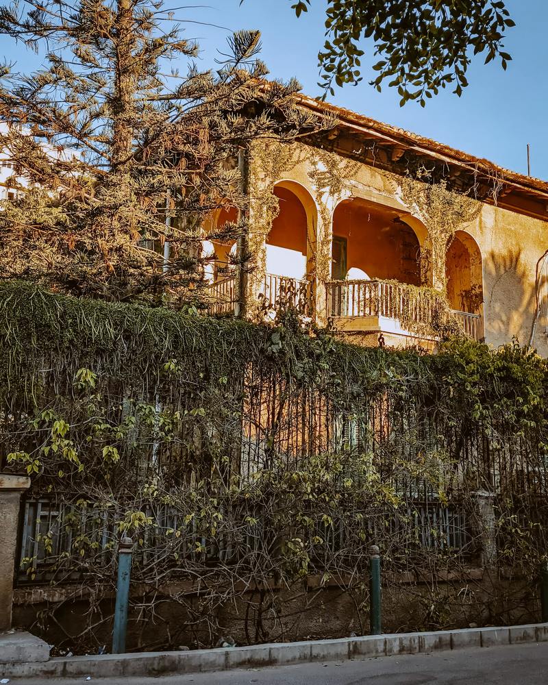 Photograph by abdalrahman