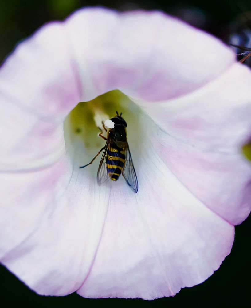 Photograph by Andrei Sabanov