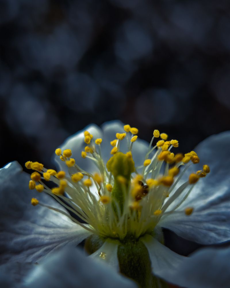 Photograph by Praveen