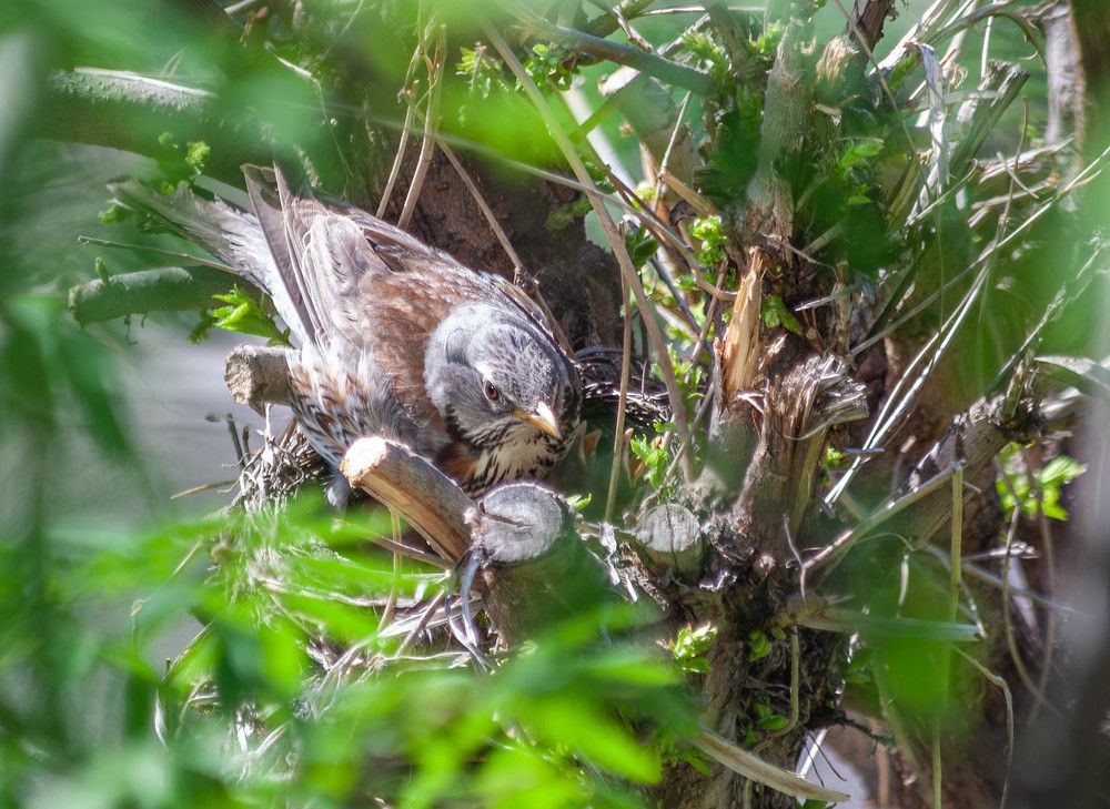 Photograph by Толян Бууулочкин