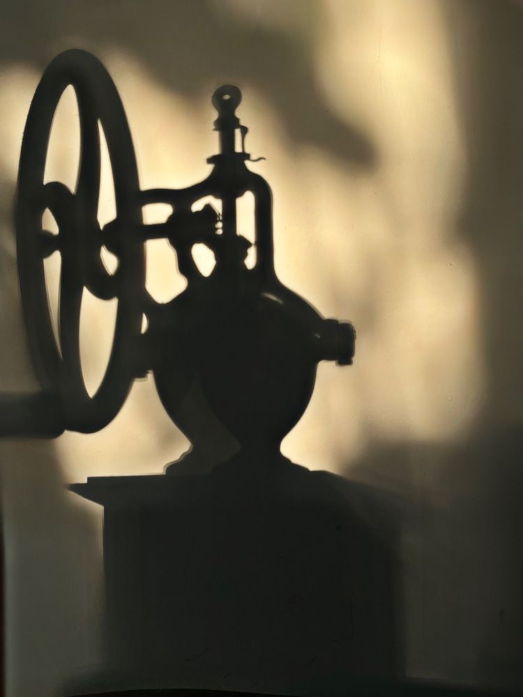 Photograph by Екатерина Букаева